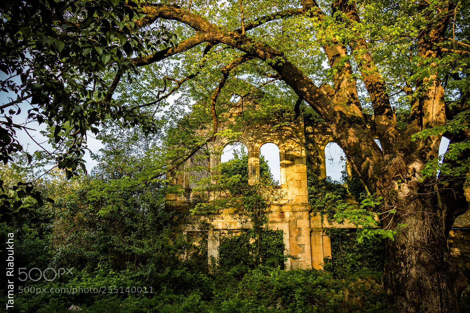 Canon EOS 750D (EOS Rebel T6i / EOS Kiss X8i) sample photo. Ruins in spring photography