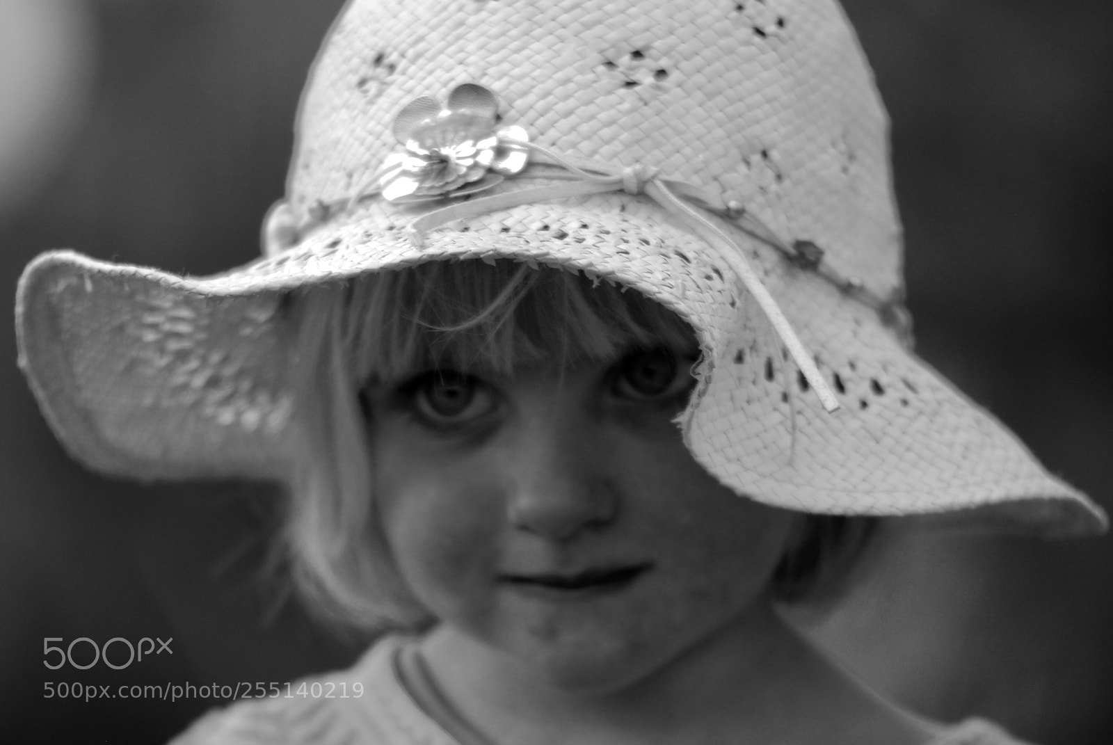 Nikon D80 sample photo. Untitled photography