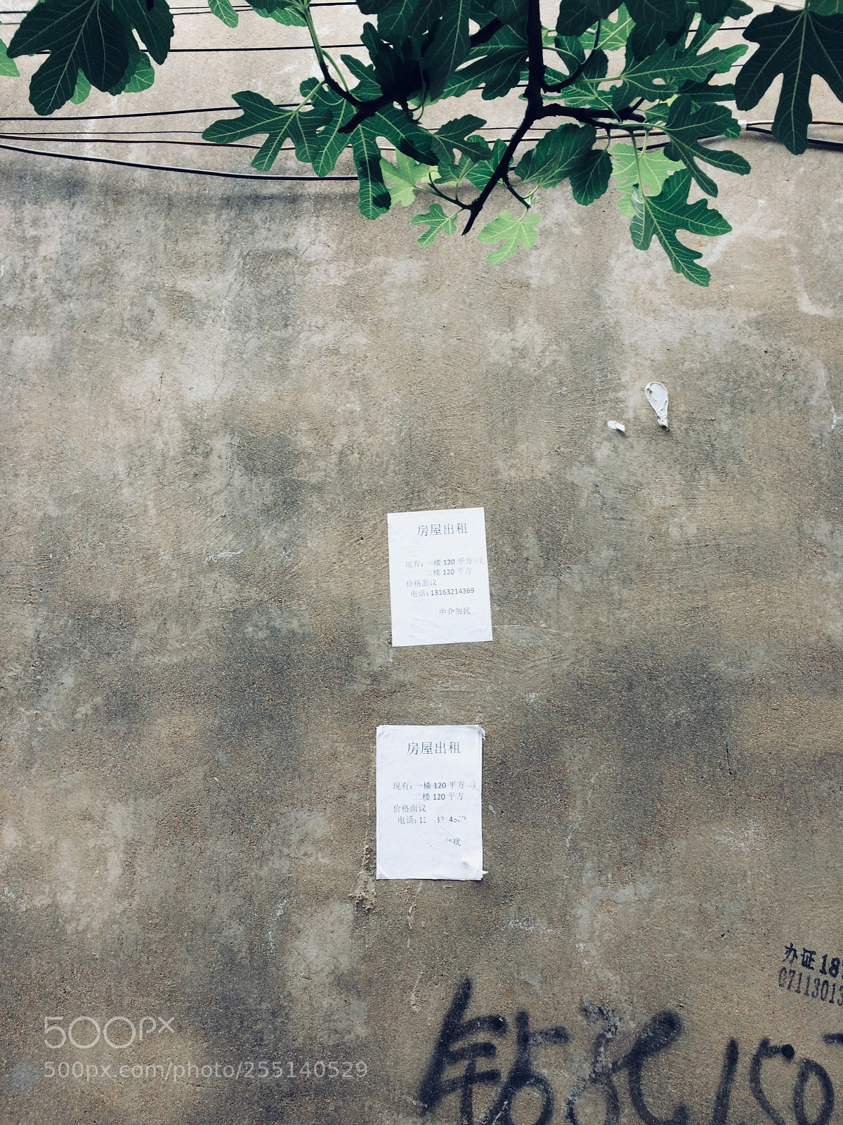 Apple iPhone 5s sample photo. Parallel two photography