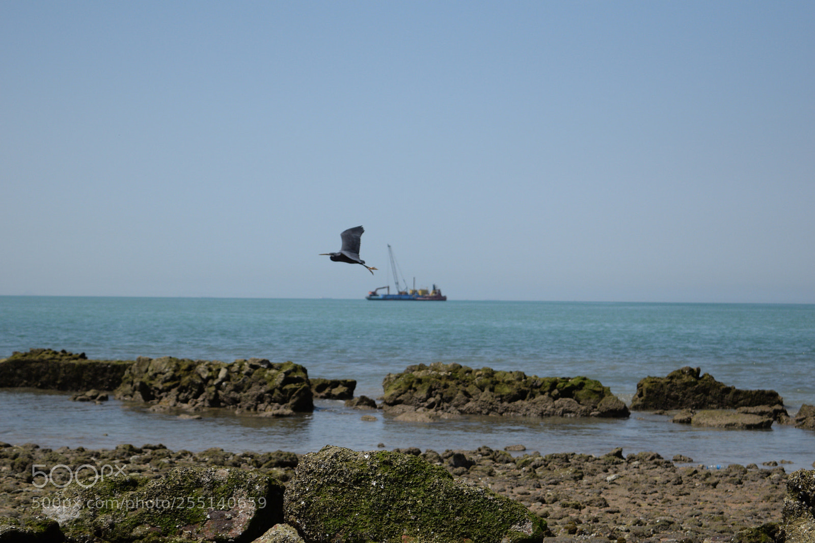 Nikon D3300 sample photo. Untitled photography