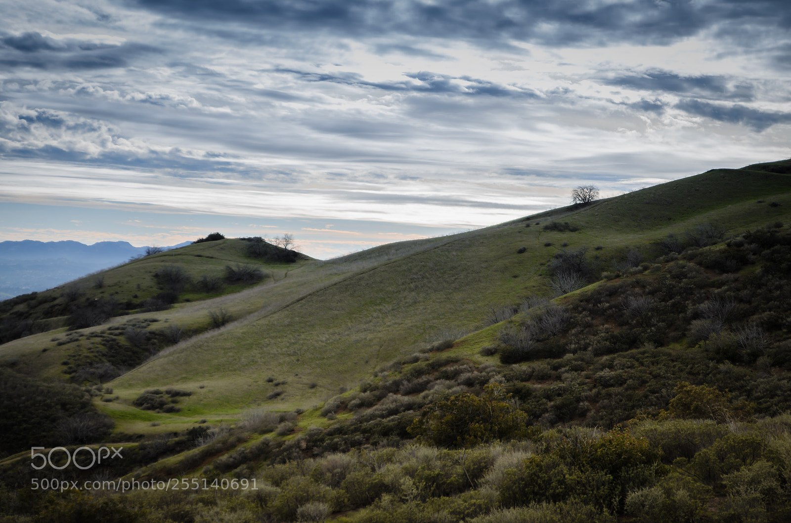 Nikon D7000 sample photo. O'melveny park photography