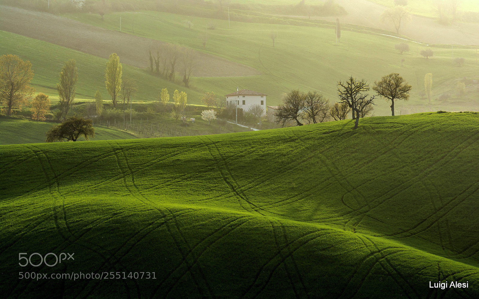 Nikon D7100 sample photo. Marche countryside photography