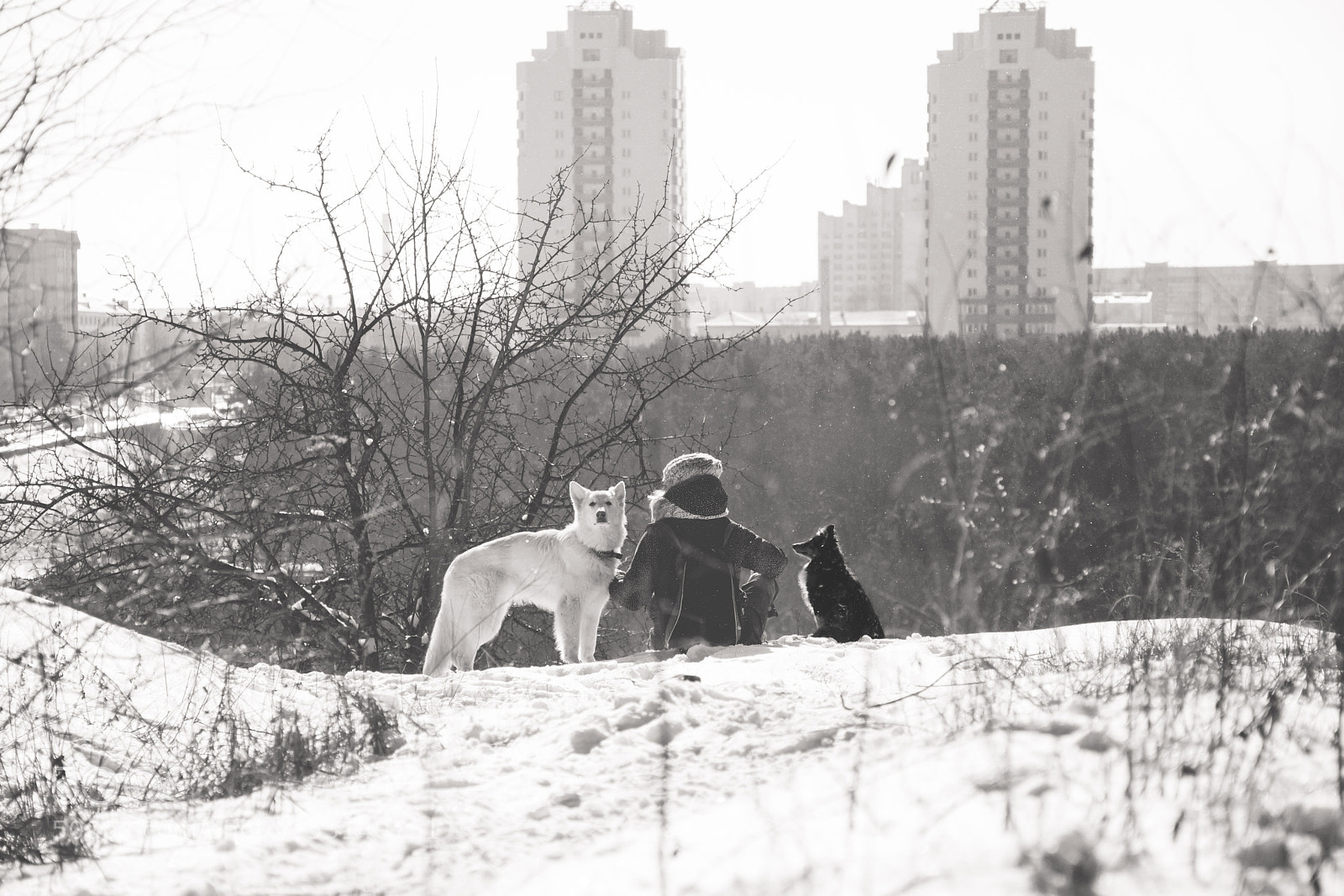Nikon D7200 sample photo. --- photography