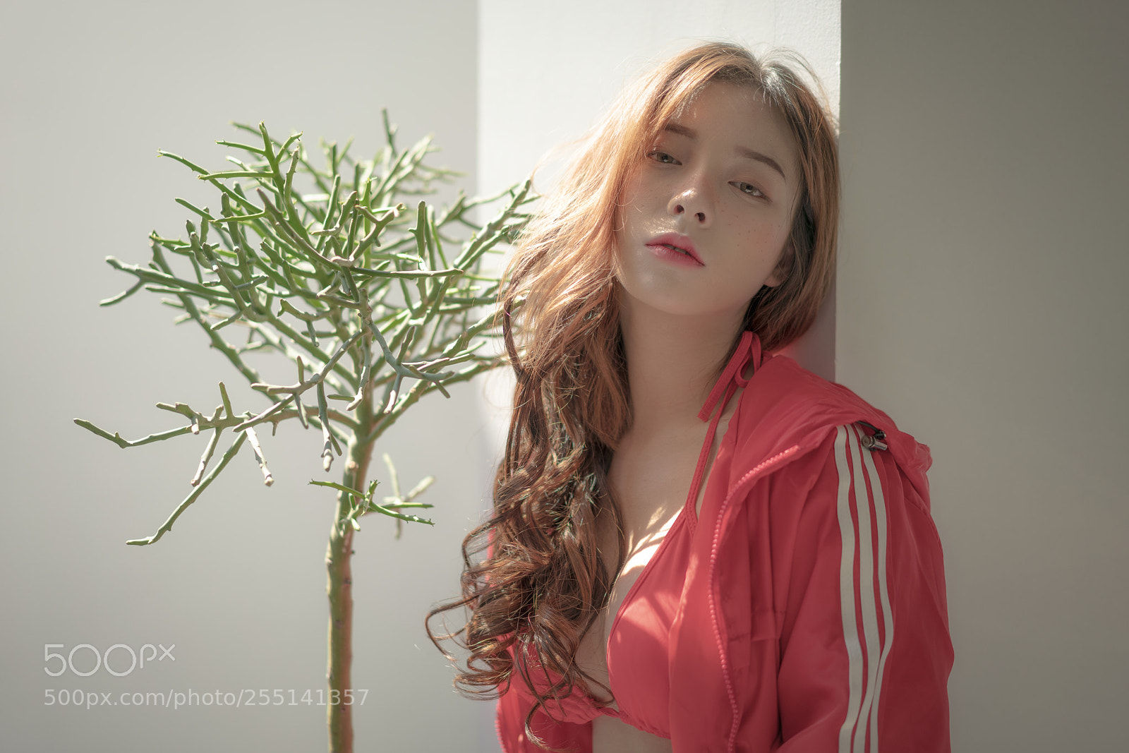 Sony a7R III sample photo. The woman in red photography