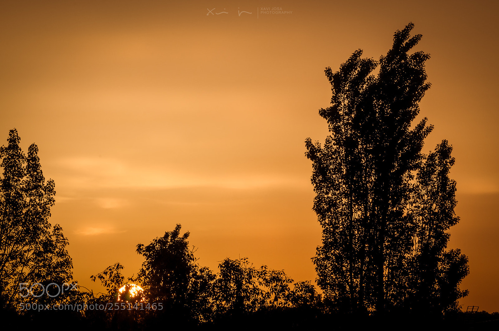 Nikon D300S sample photo. Sunrise with sahara dust.. photography
