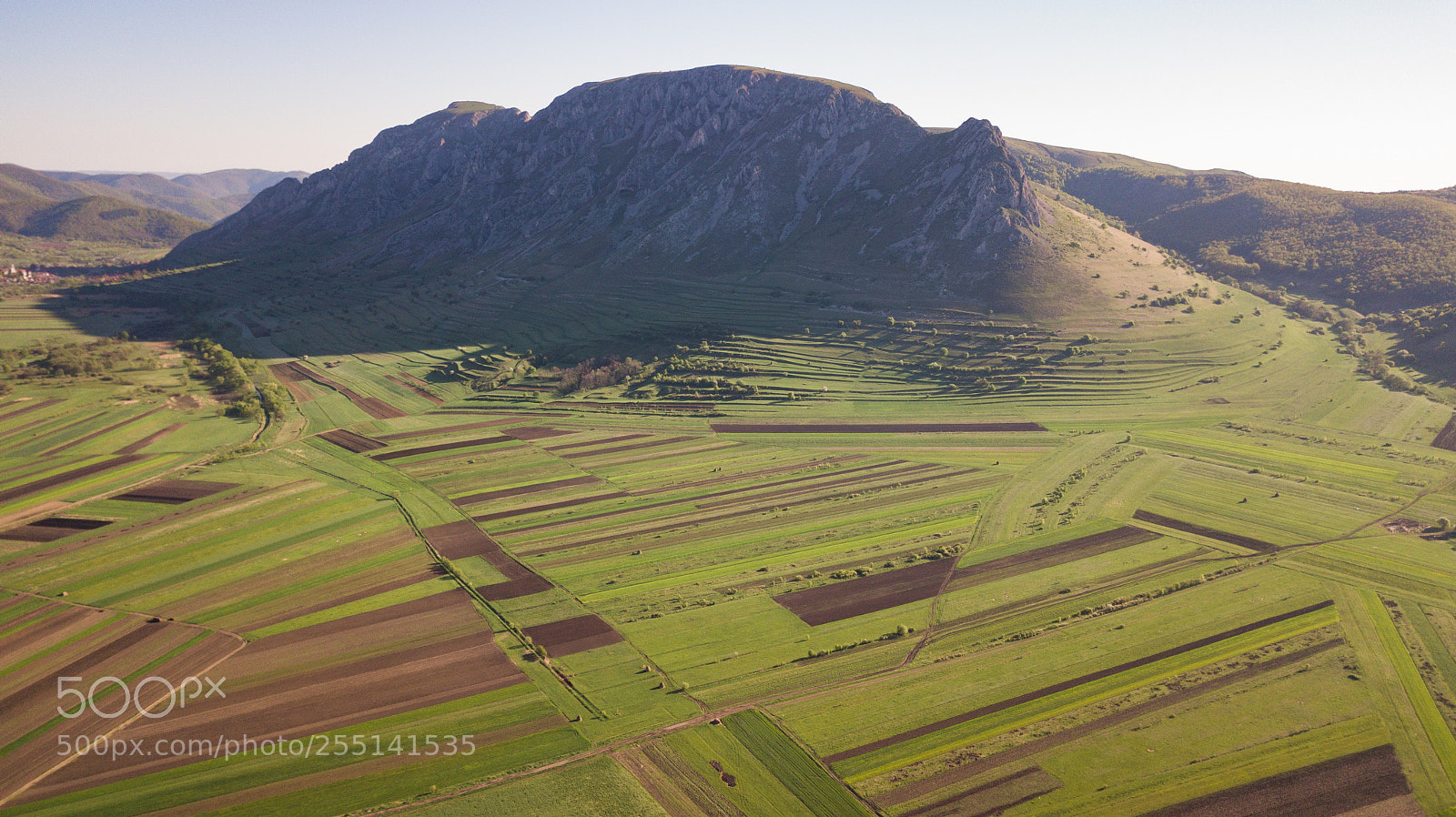 DJI FC220 sample photo. Up photography