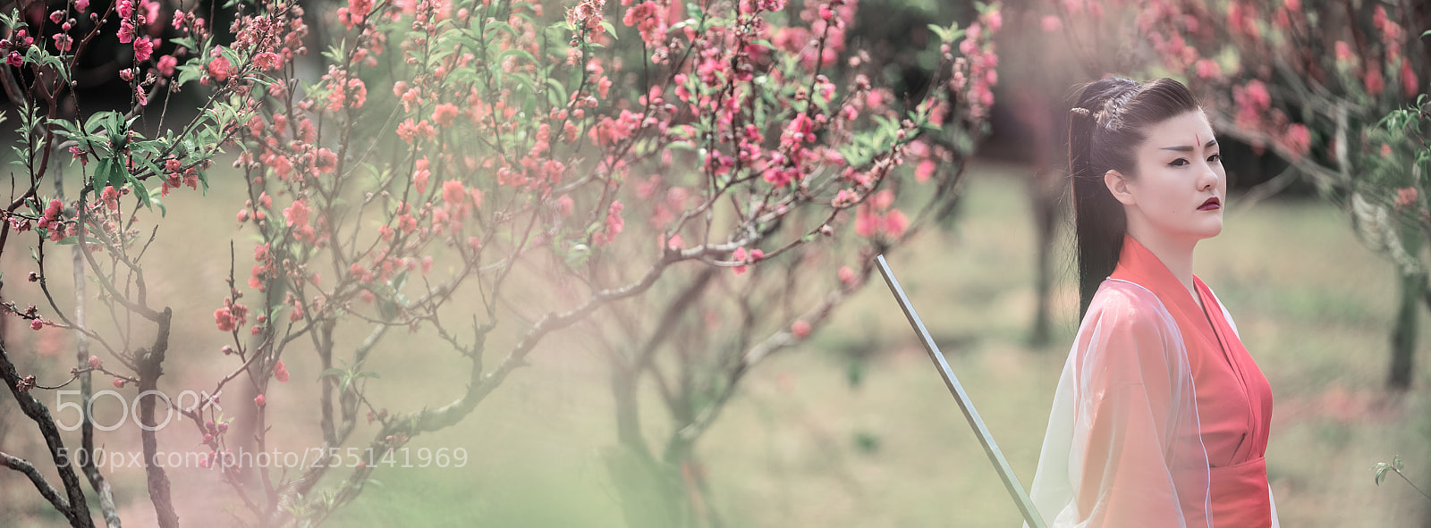 Fujifilm GFX 50S sample photo. 醉。桃花 photography