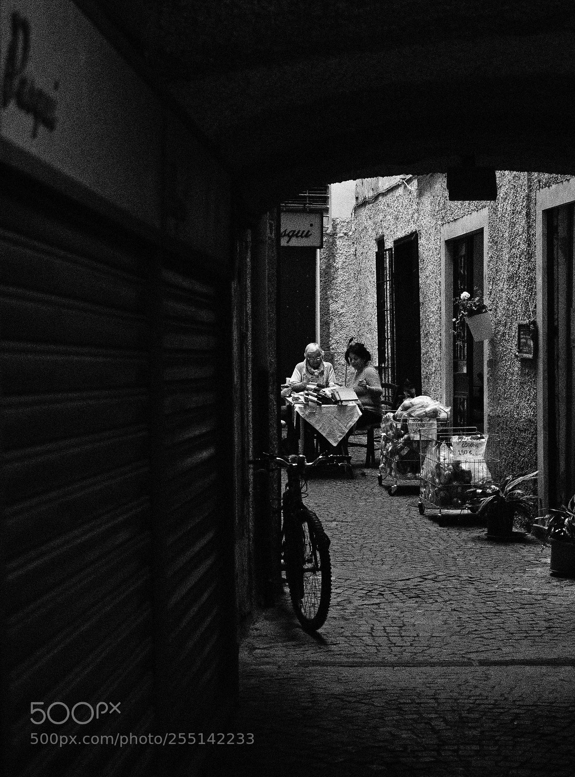 Olympus OM-D E-M1 Mark II sample photo. Untitled photography