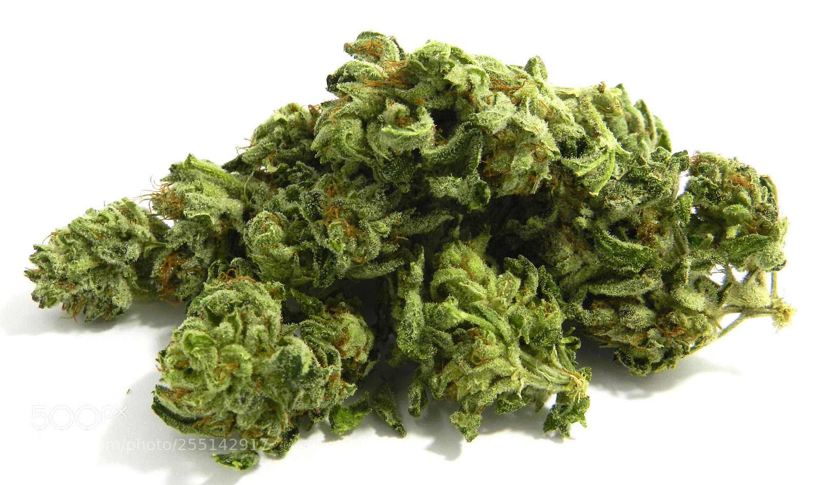 Nikon Coolpix P500 sample photo. Legal weed shop usa () photography
