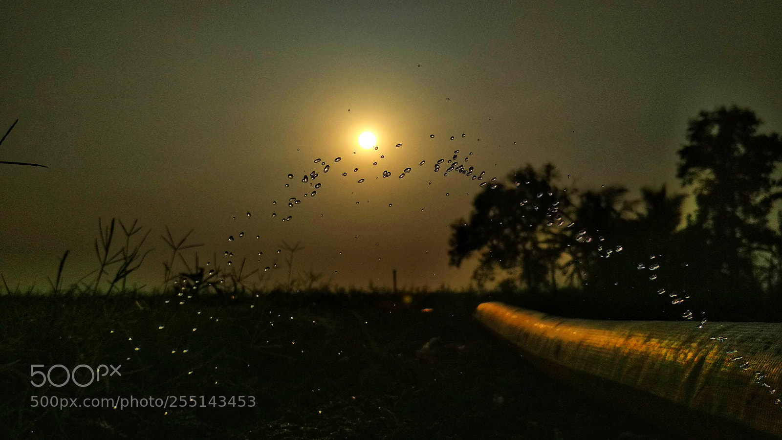 Xiaomi Redmi 4 Pro sample photo. Untitled photography