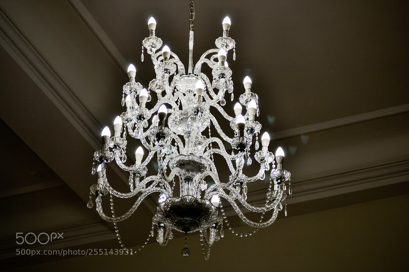 Nikon D3100 sample photo. Untitled photography