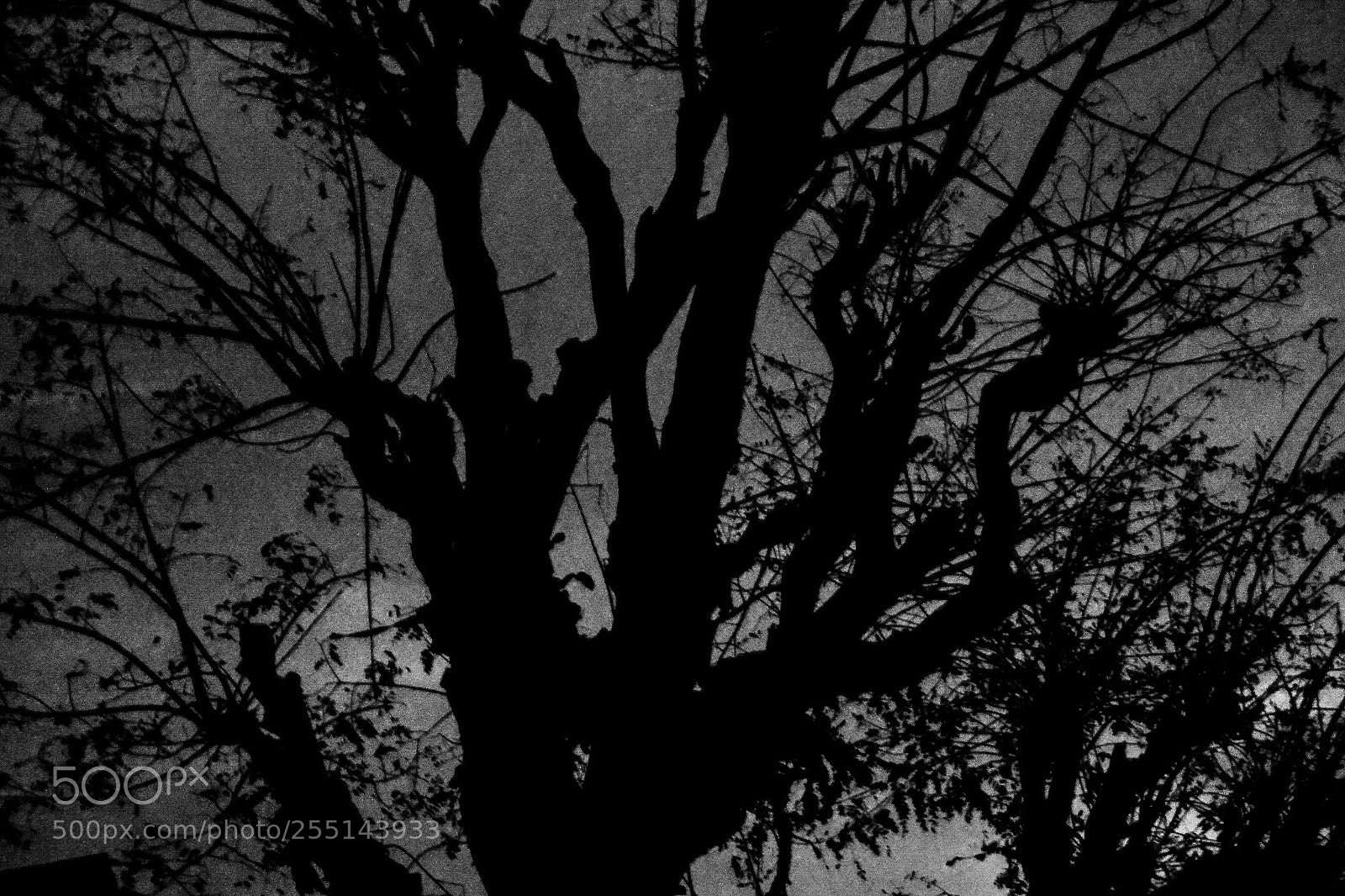 Nikon D3100 sample photo. Untitled photography