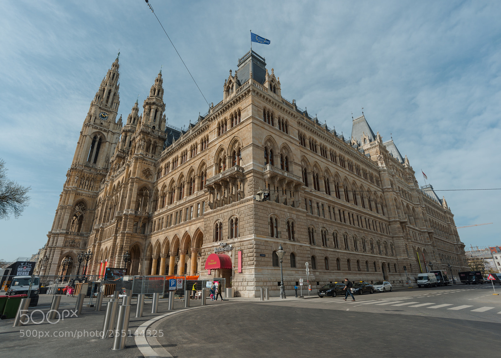 Nikon D800 sample photo. City hall of vienna photography