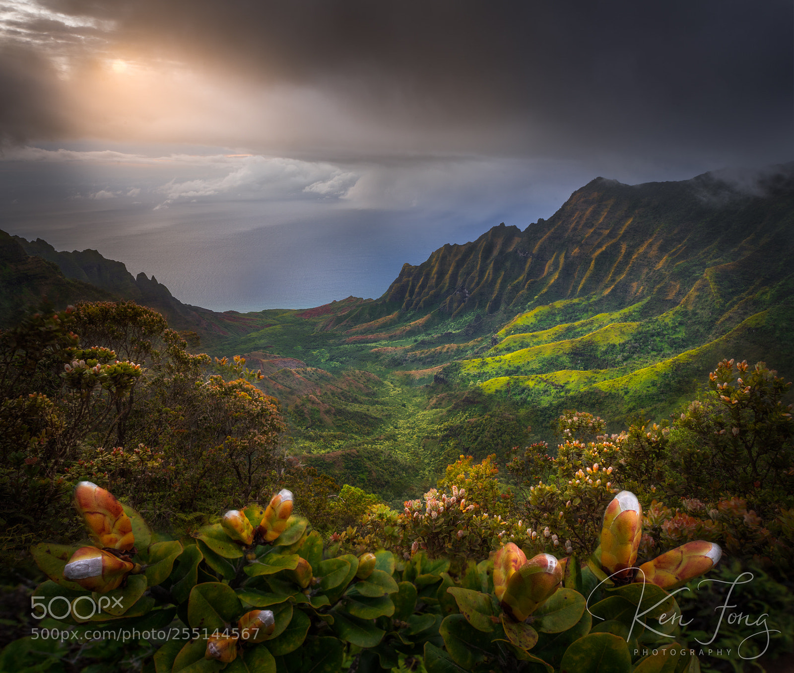 Sony a7R III sample photo. Kalalau valley 2 photography