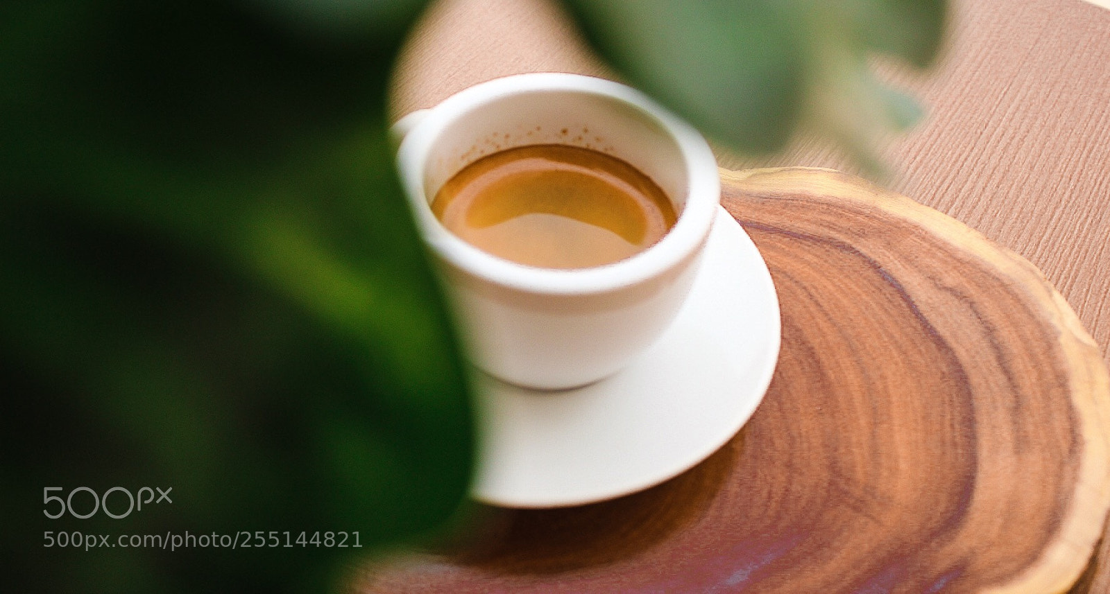 Canon EOS 550D (EOS Rebel T2i / EOS Kiss X4) sample photo. Espresso is... photography