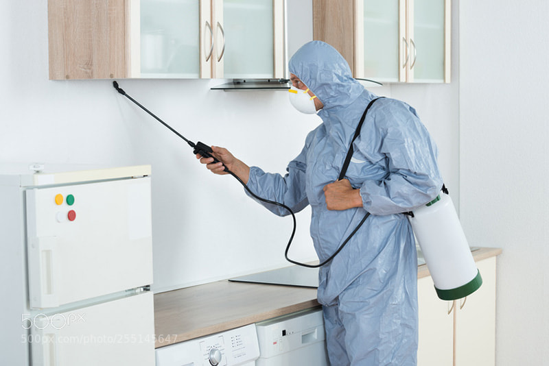 Nikon D800E sample photo. Https www.goldenpestuae.com spraying pesticide photography