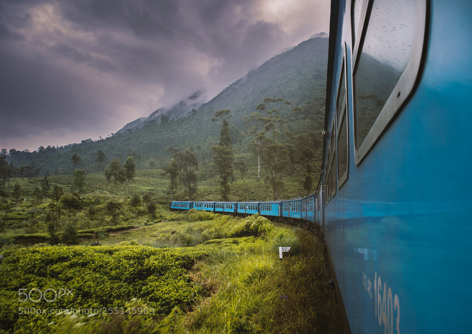 Nikon D3300 sample photo. The beautiful train trip photography