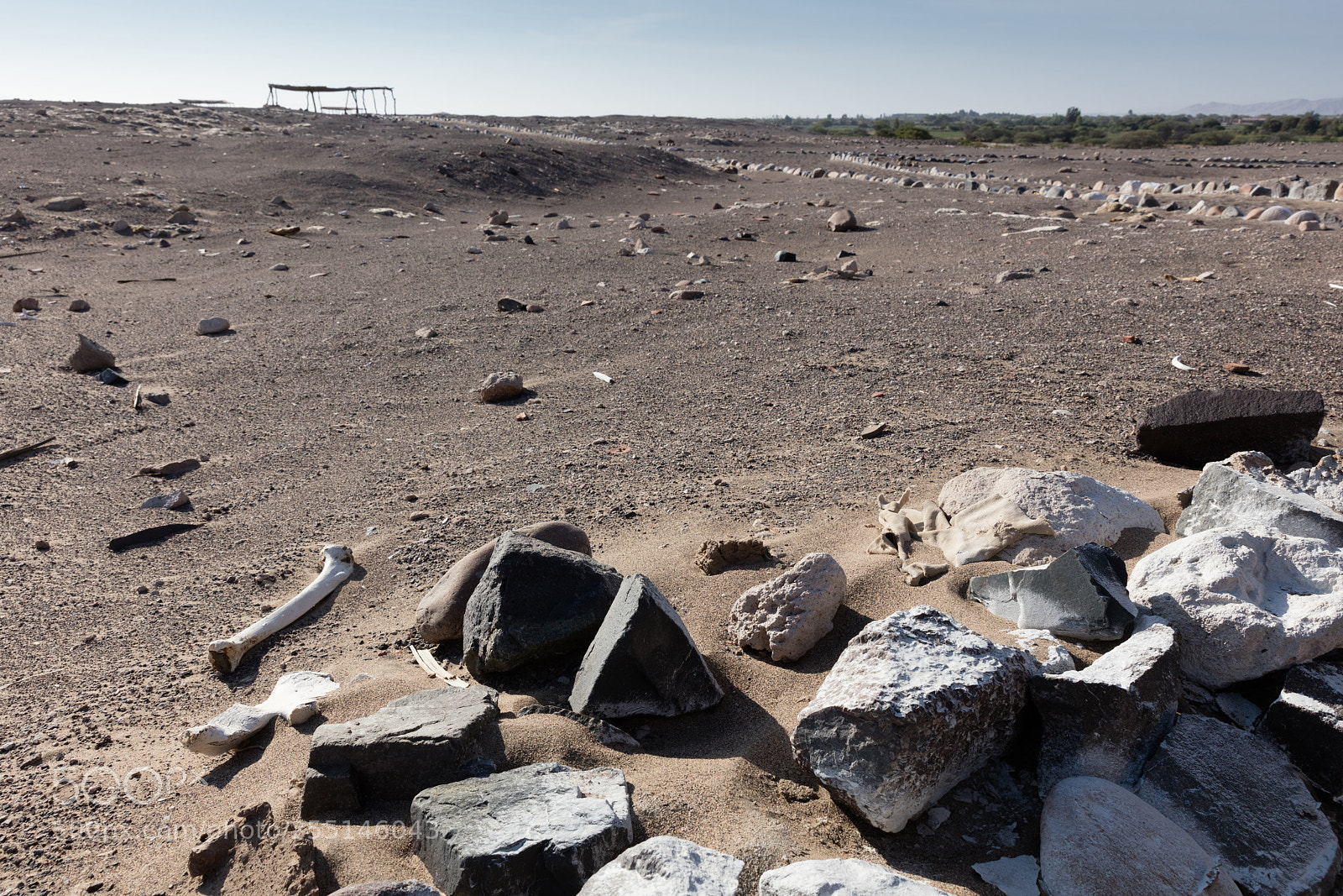 Canon EOS 5DS R sample photo. Chauchilla necropolis, peru photography