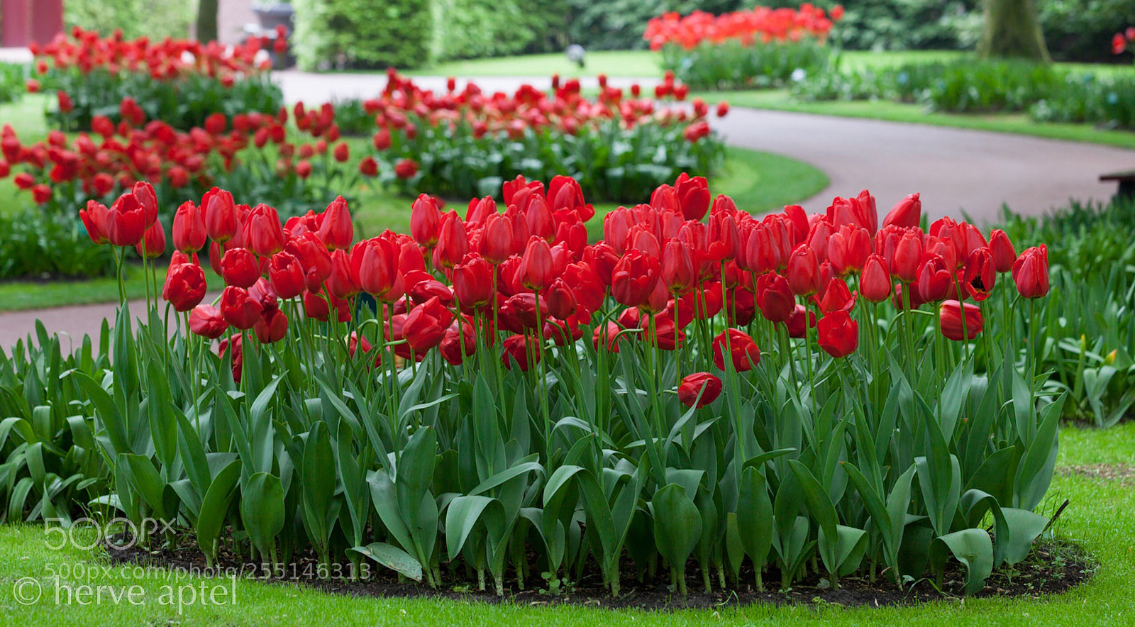 Canon EOS 5D Mark II sample photo. Untitled photography