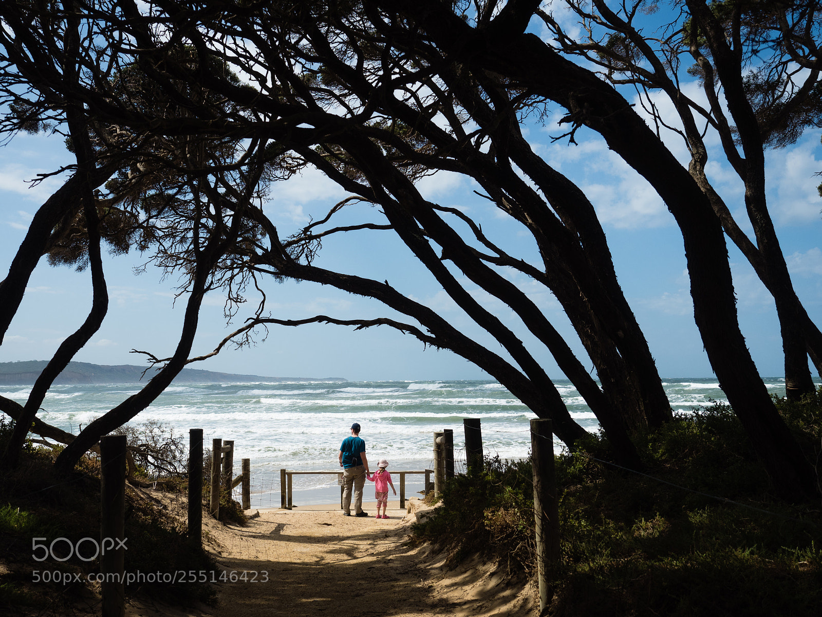 Olympus OM-D E-M5 II sample photo. Great ocean road, australia photography