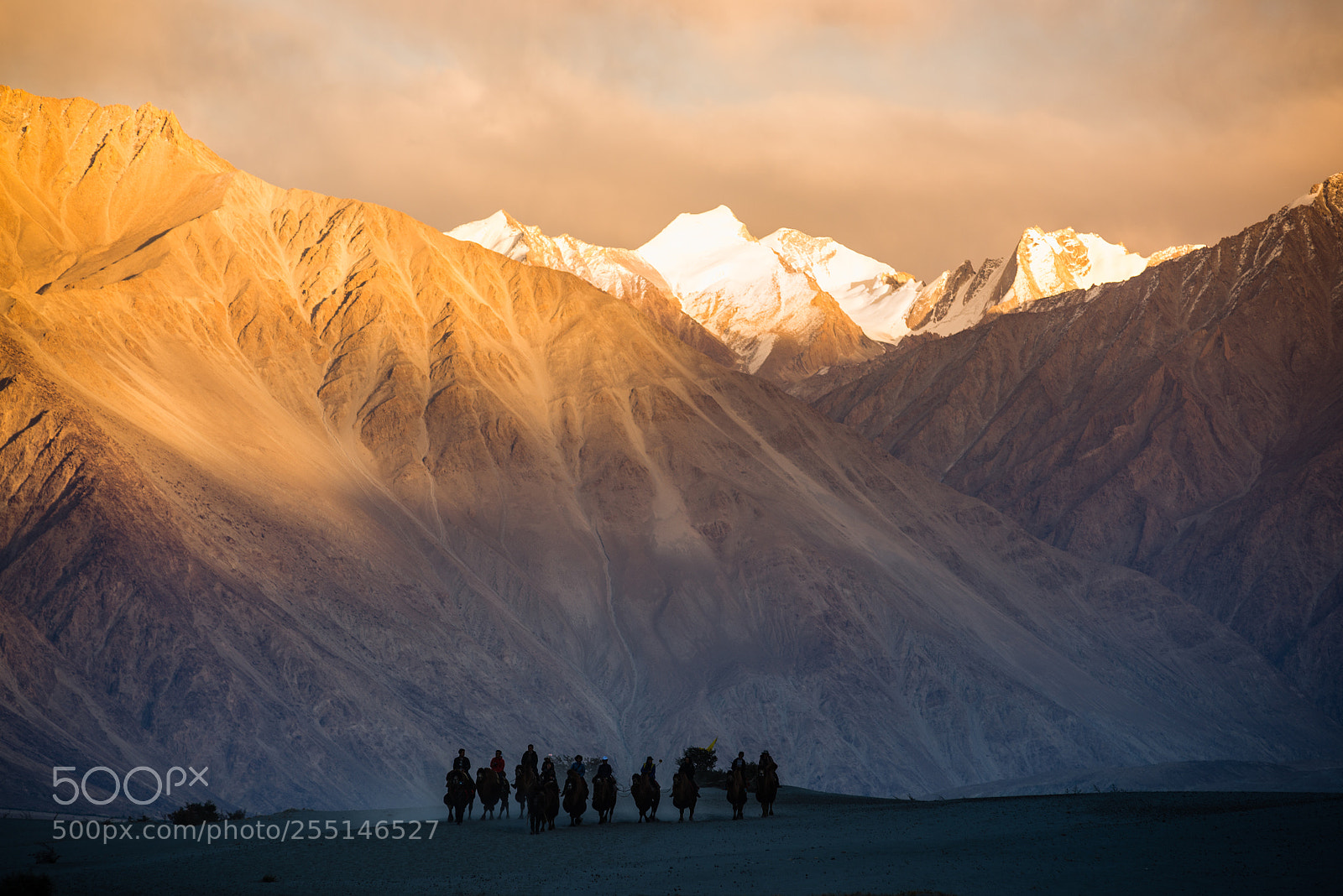 Nikon D600 sample photo. Sunset_leh photography
