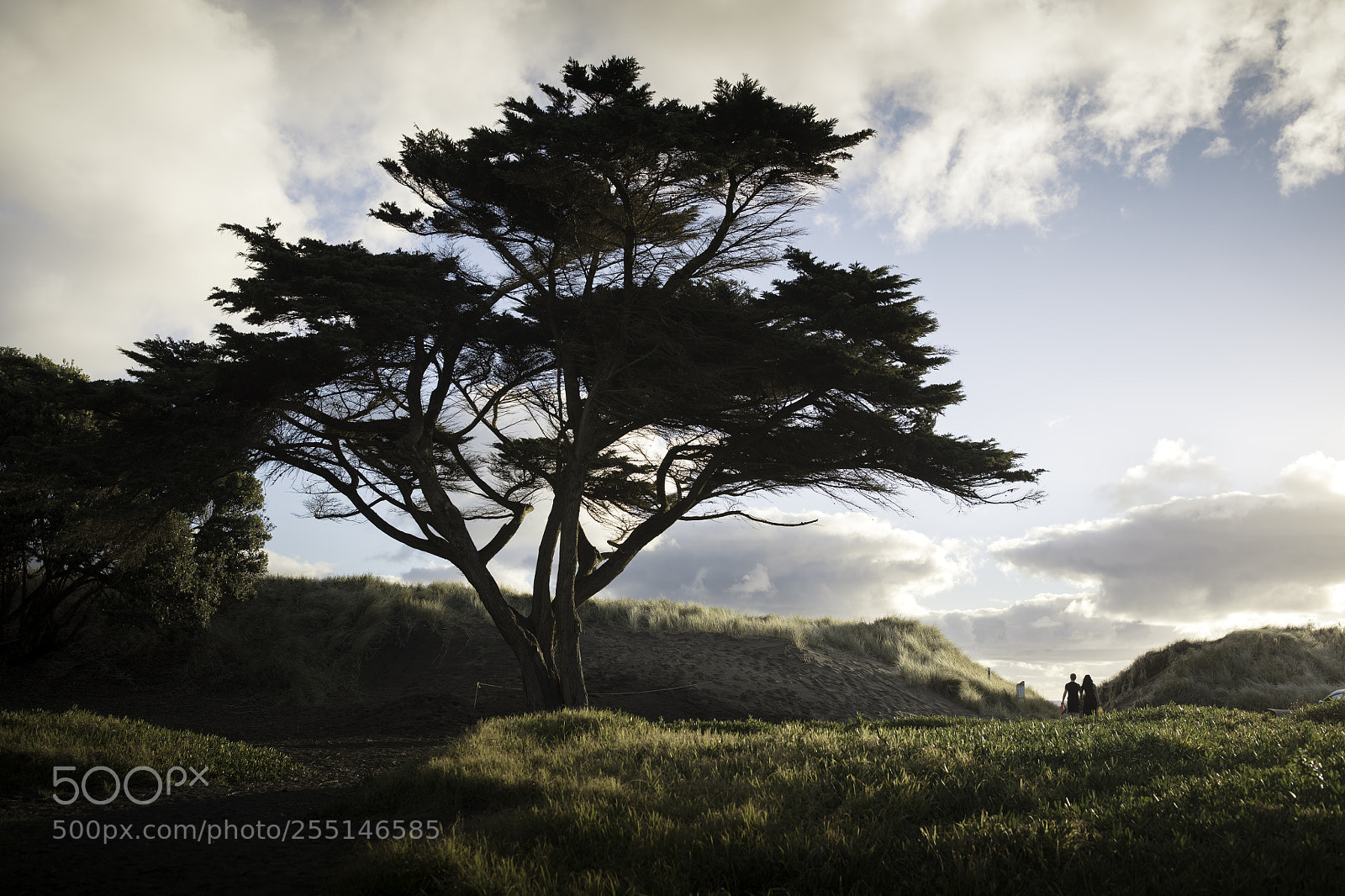 Canon EOS 5DS sample photo. Solitude photography