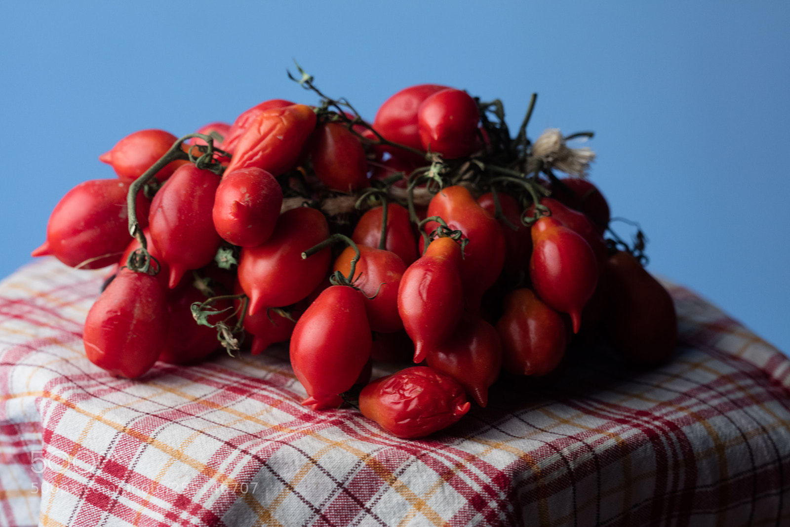 Canon EOS 5DS R sample photo. Tomatoes of vesuvius photography