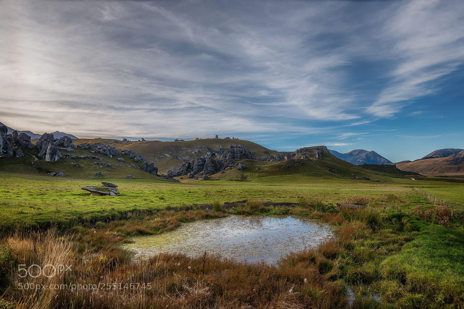Nikon D610 sample photo. Castle hill new zealand photography