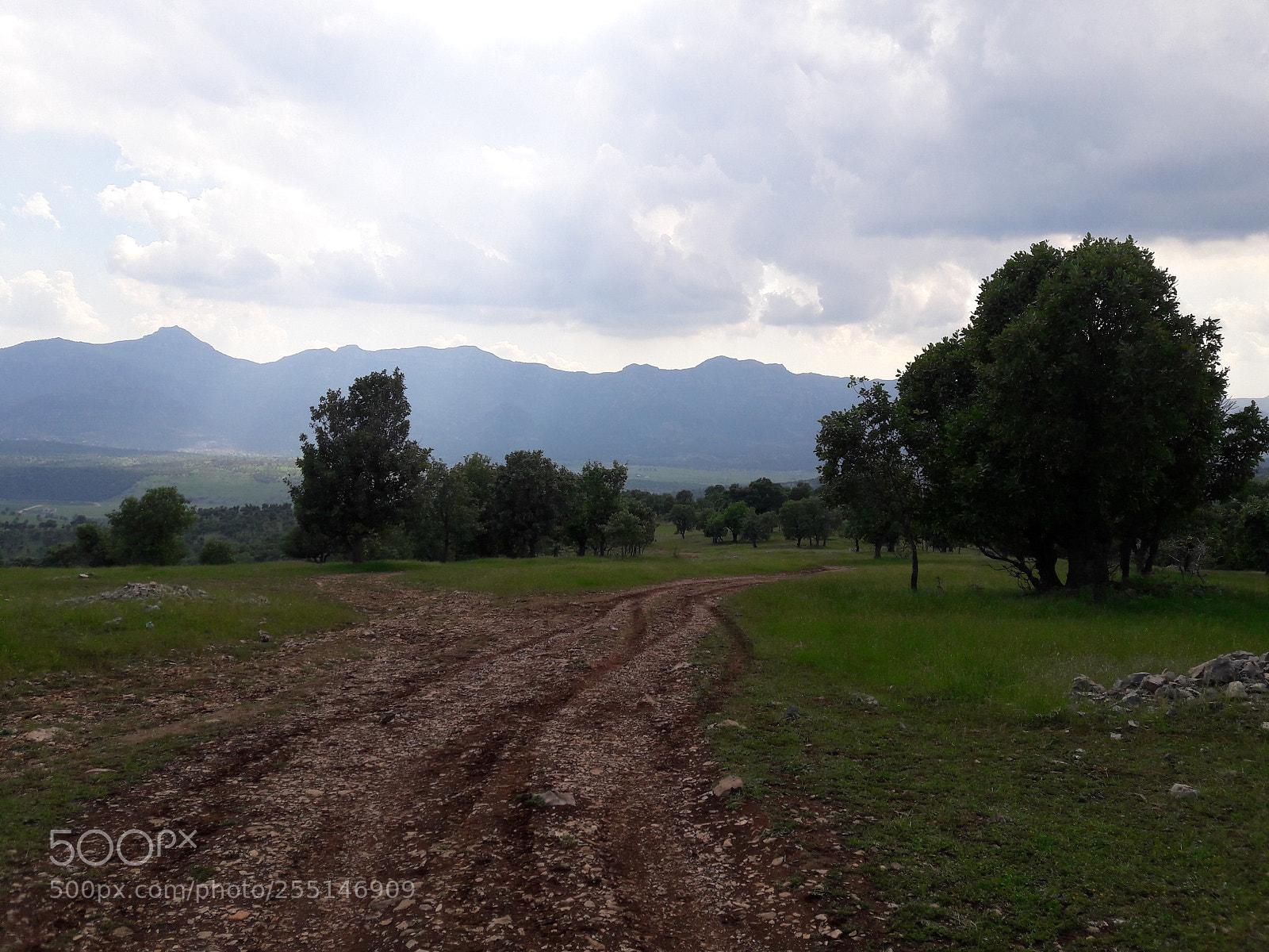 Samsung Galaxy J7 sample photo. Path to no where photography