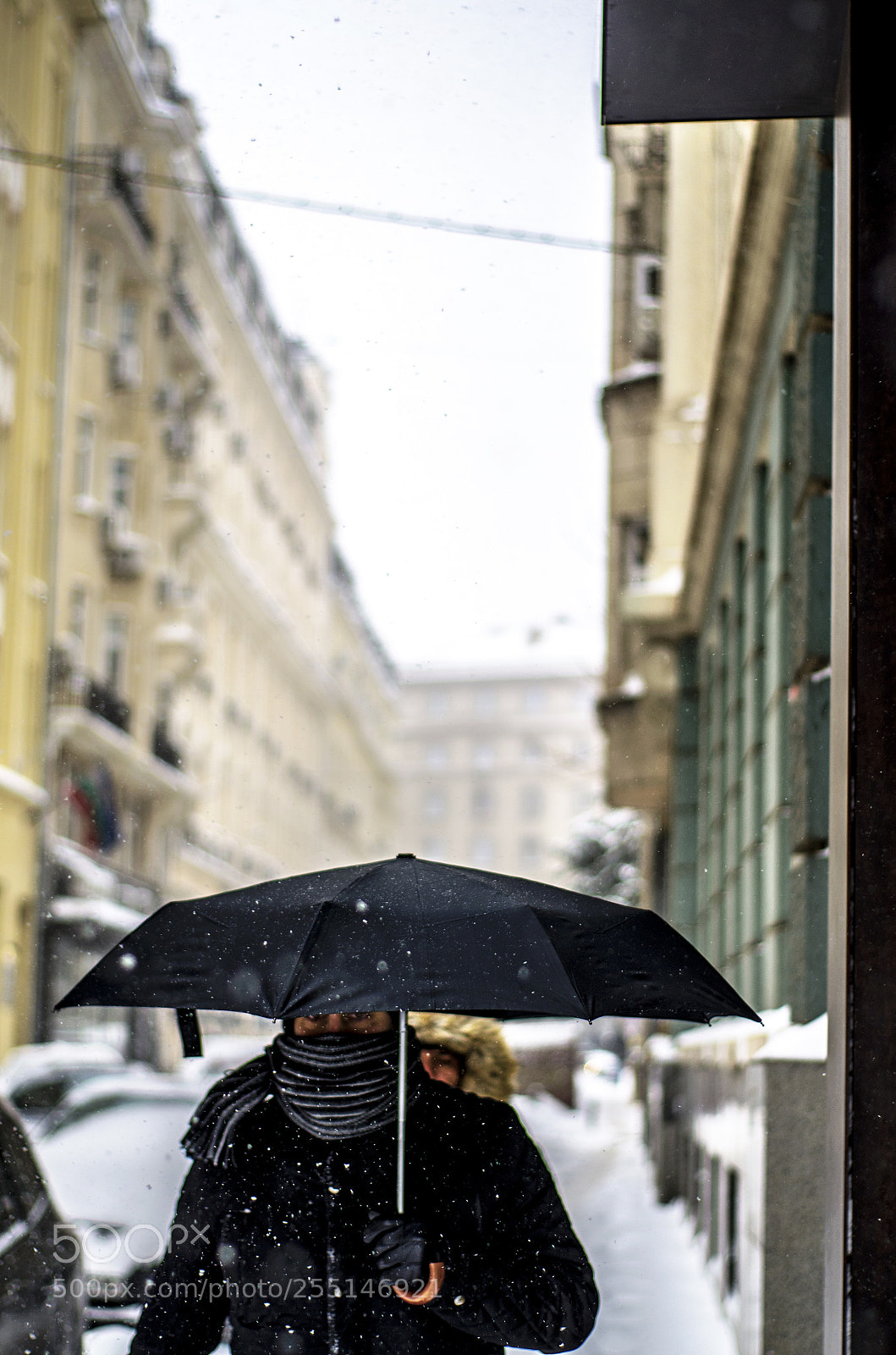 Nikon D7000 sample photo. () photography