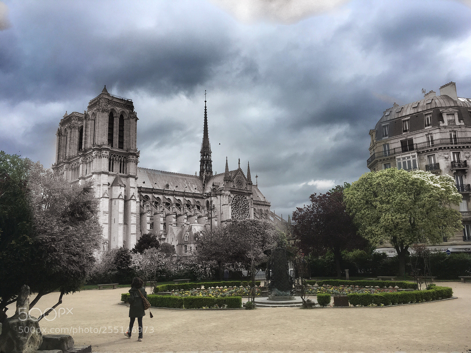 Apple iPhone SE sample photo. Cathedral notre-dame de paris photography