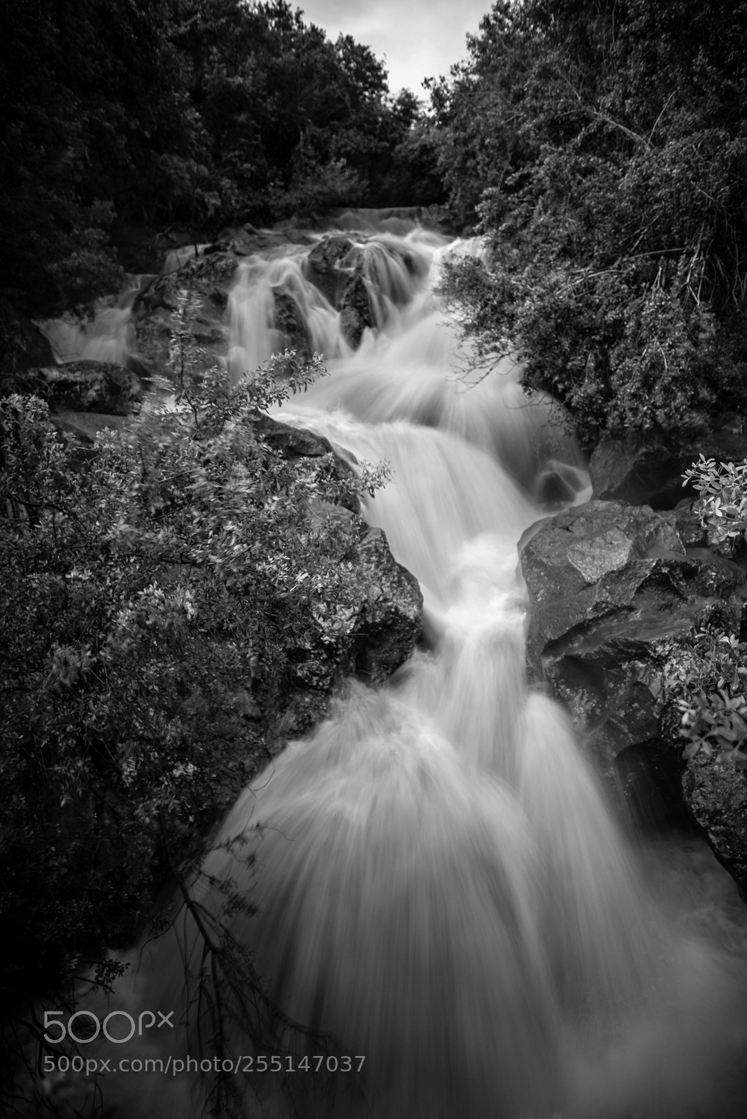 Nikon D600 sample photo. Cascade noir et blanc photography