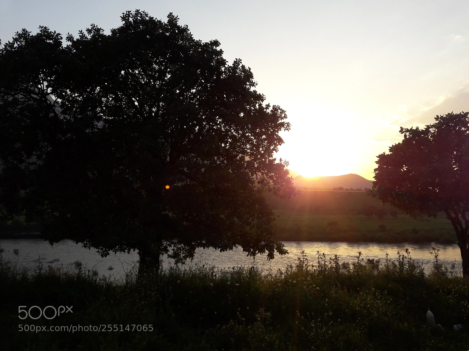 Samsung Galaxy J7 sample photo. Sunset between two trees photography