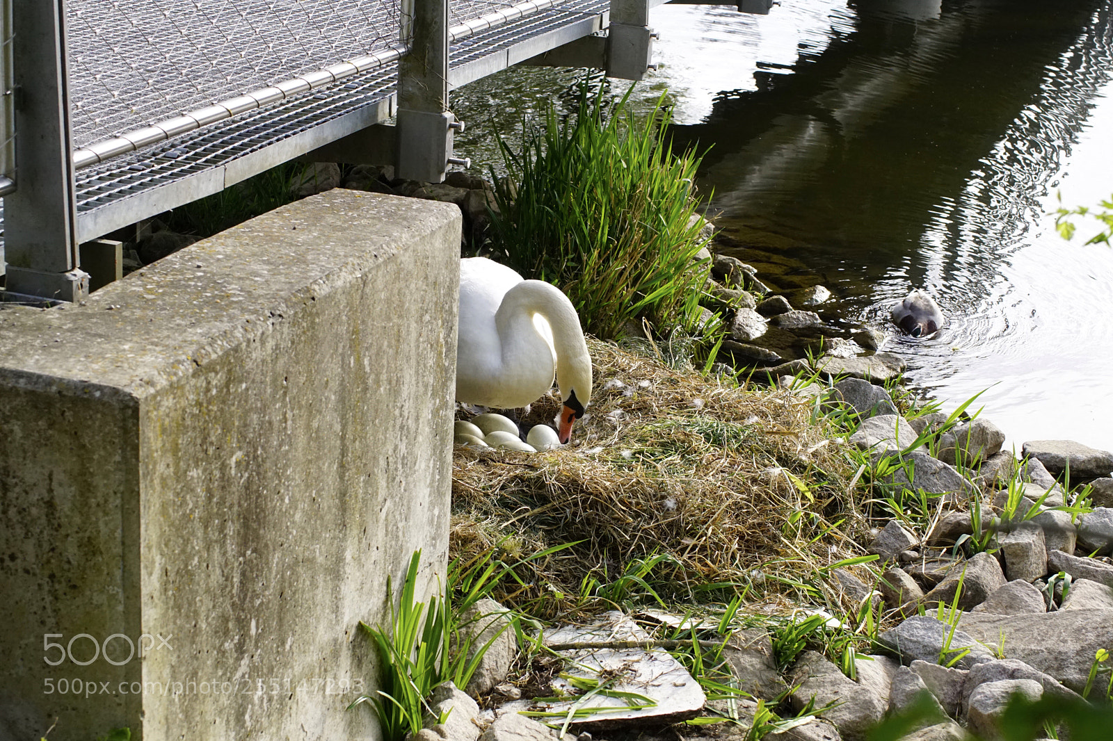 Sony ILCA-77M2 sample photo. Untitled photography