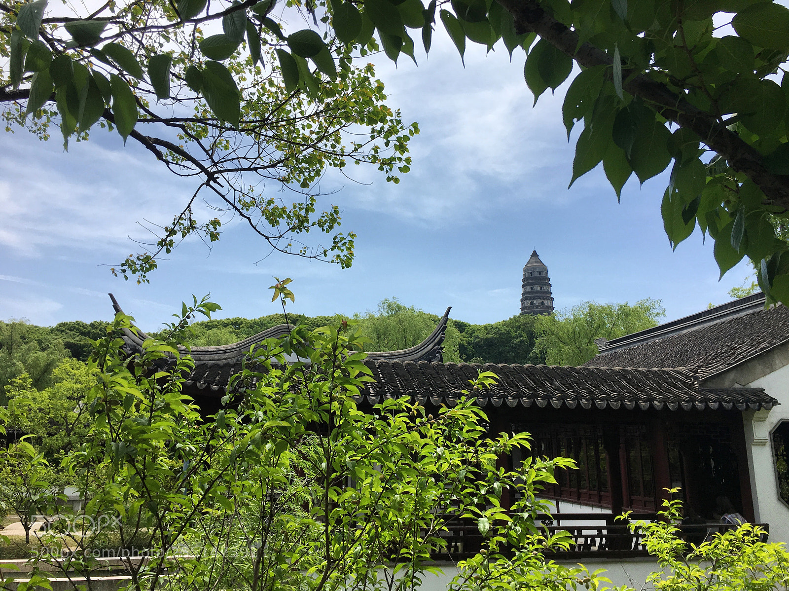 Apple iPhone 6s sample photo. Suzhou, china tiger hill photography