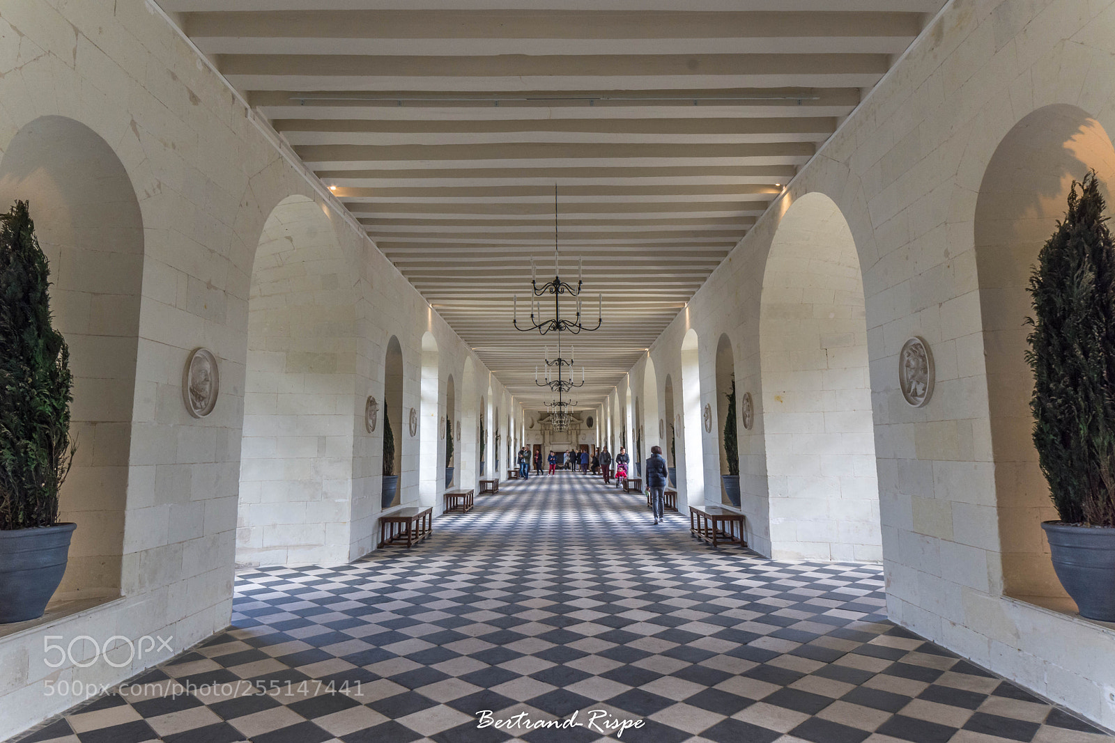 Nikon D7200 sample photo. Symétrique photography