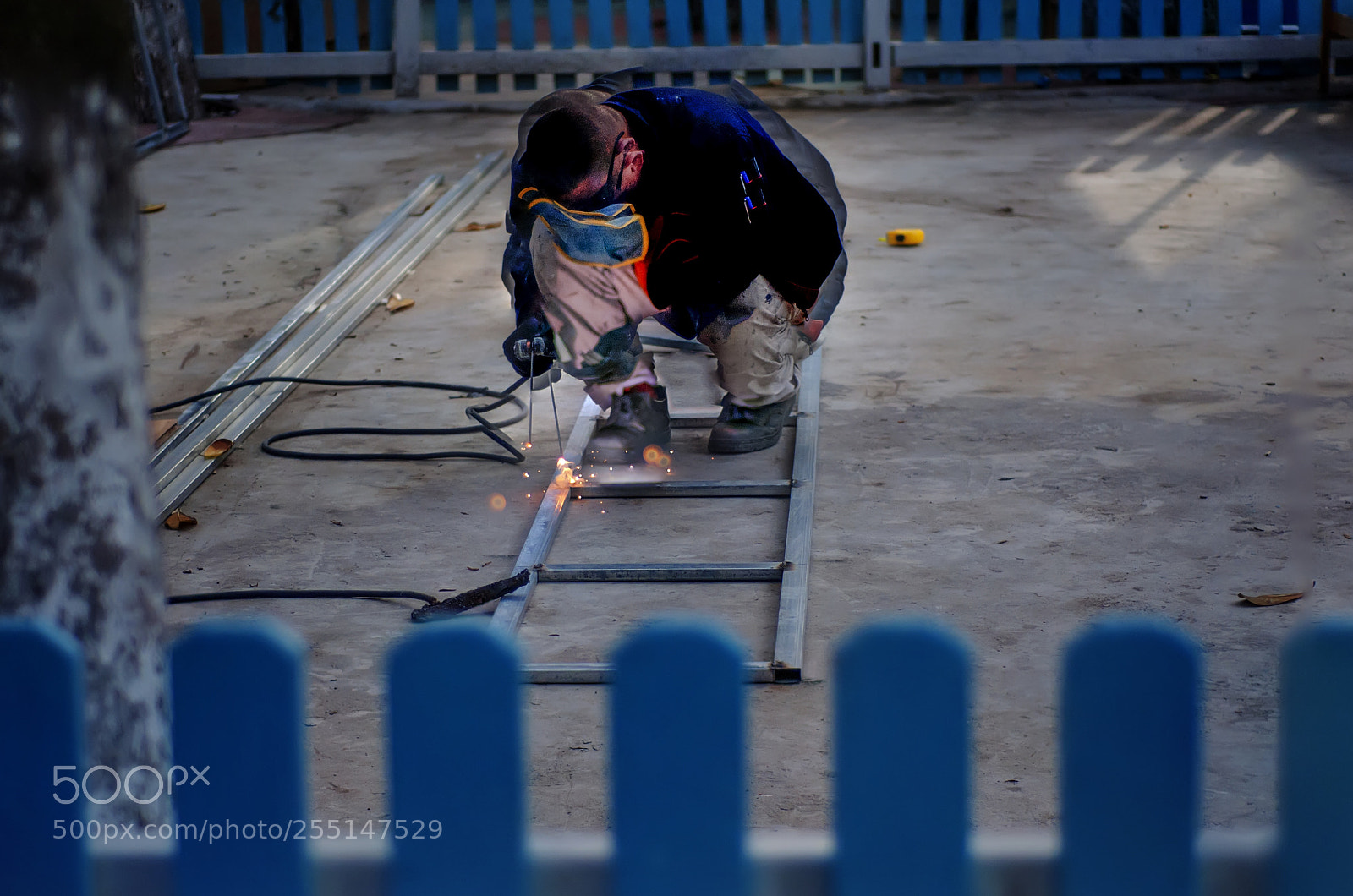 Nikon D90 sample photo. Untitled photography