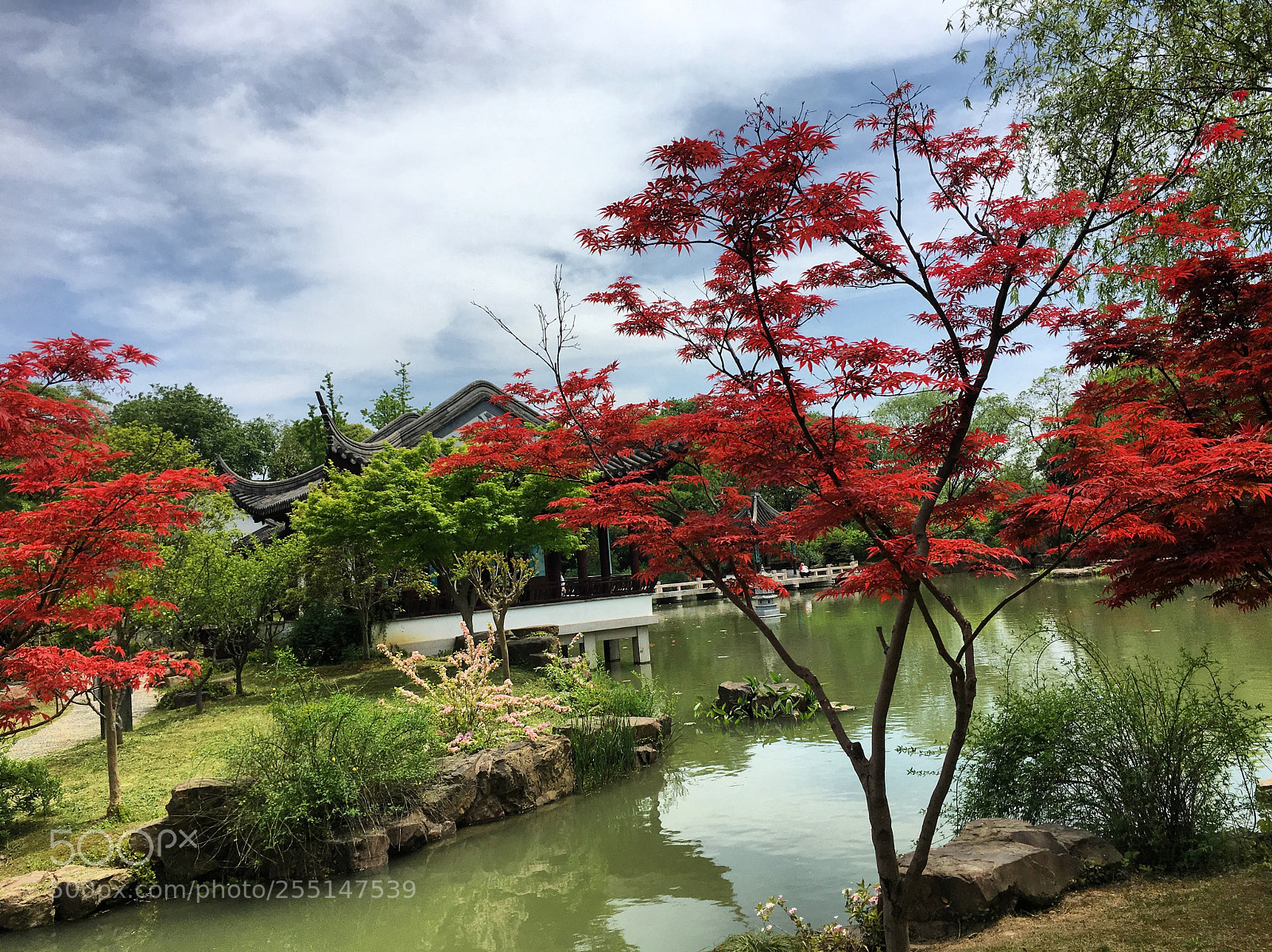 Apple iPhone 6s sample photo. Suzhou, china tiger hill photography