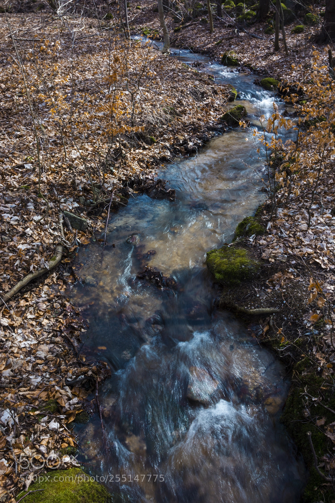 Nikon D7100 sample photo. Brook in isergebirge photography
