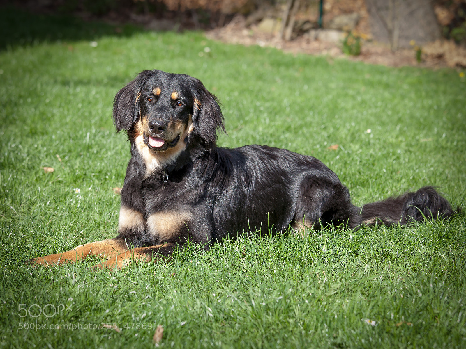 Canon EOS 5D Mark II sample photo. Happy photography