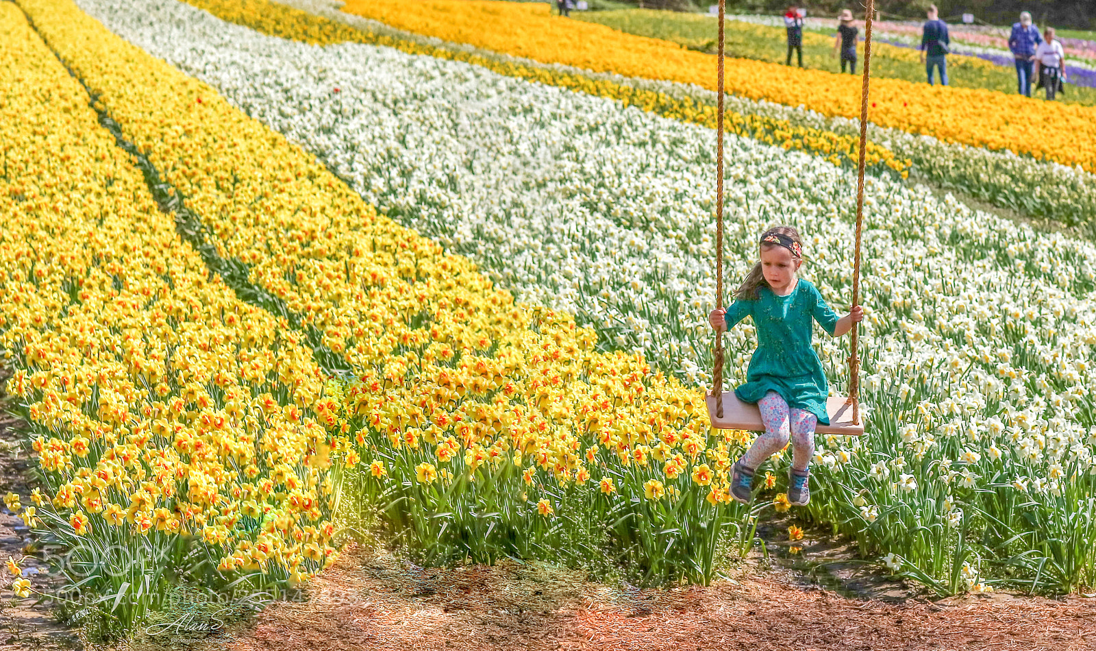 Canon EOS 5DS R sample photo. Spring photography
