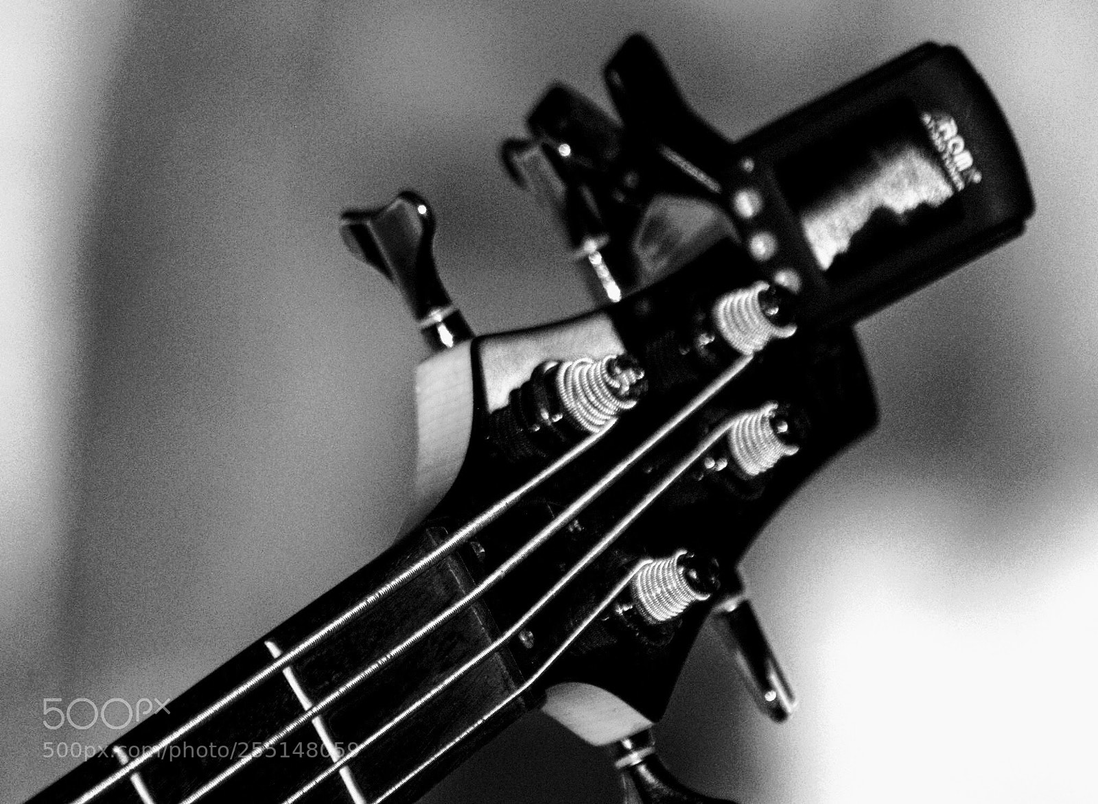 Canon EOS 600D (Rebel EOS T3i / EOS Kiss X5) sample photo. Bass guitar  photography