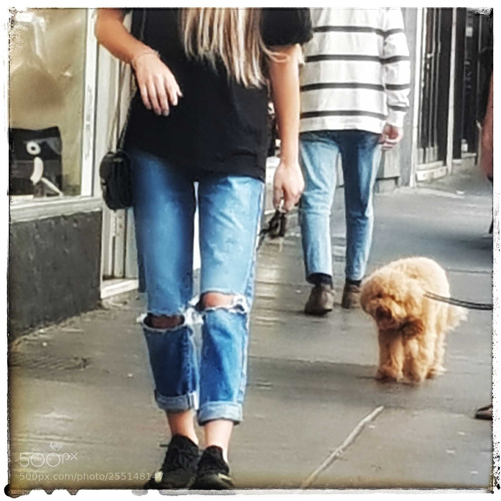 Samsung Galaxy S8 sample photo. Walking the dog photography