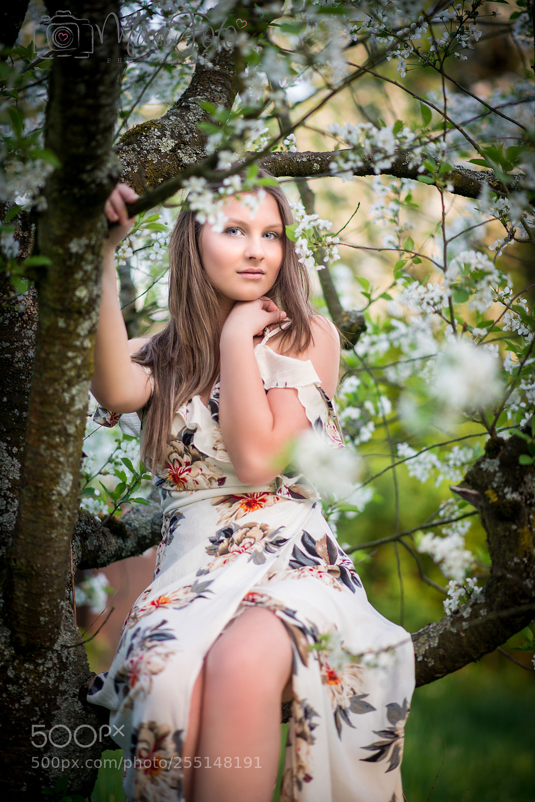Nikon D600 sample photo. Spring photography