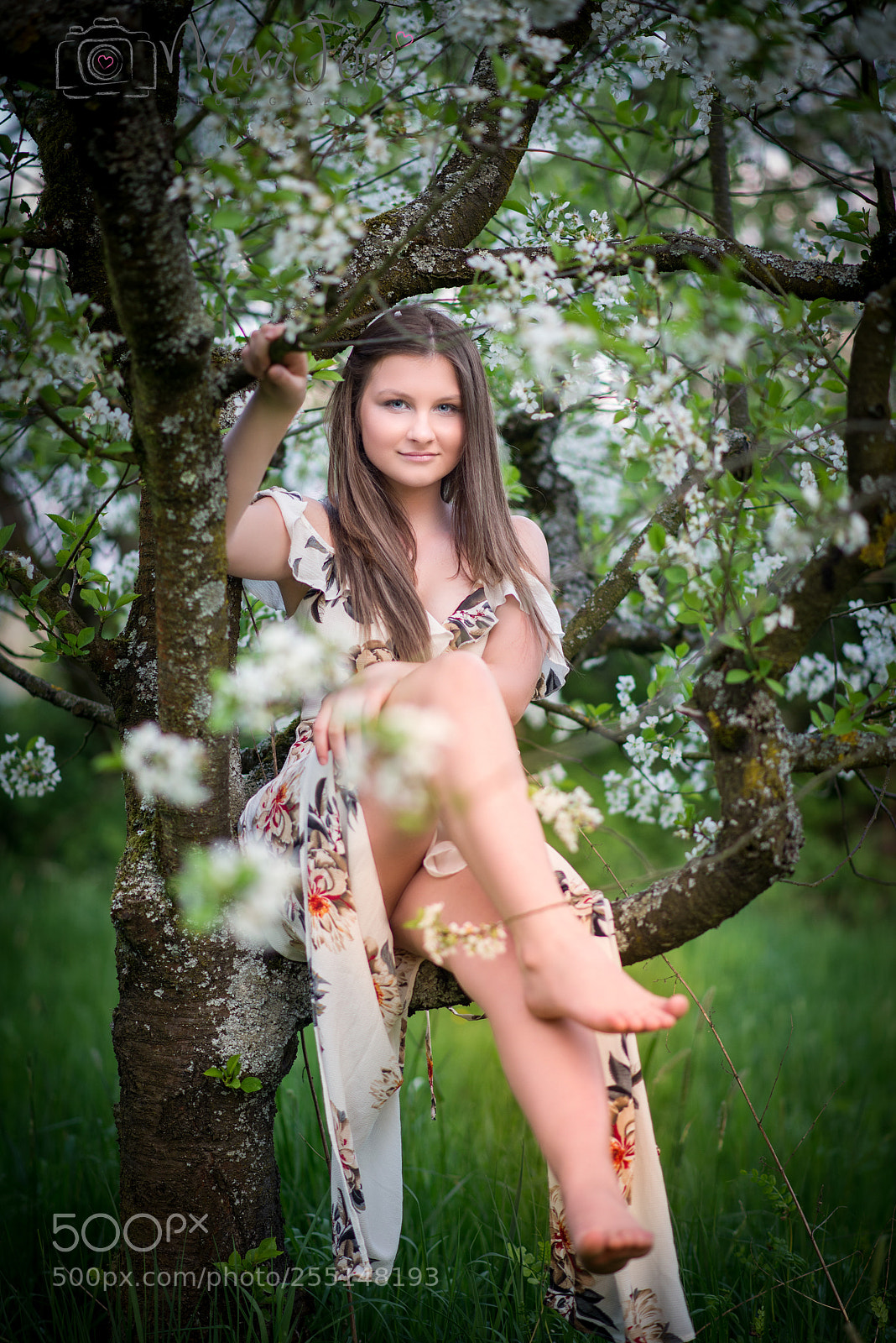 Nikon D600 sample photo. Spring photography