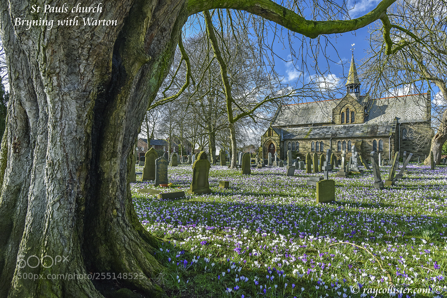 Nikon D810 sample photo. St pauls church, warton. photography