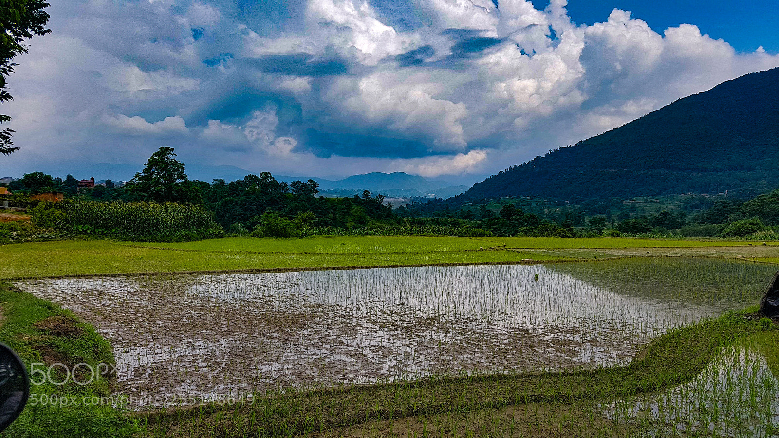 Samsung Galaxy S7 sample photo. Farming photography