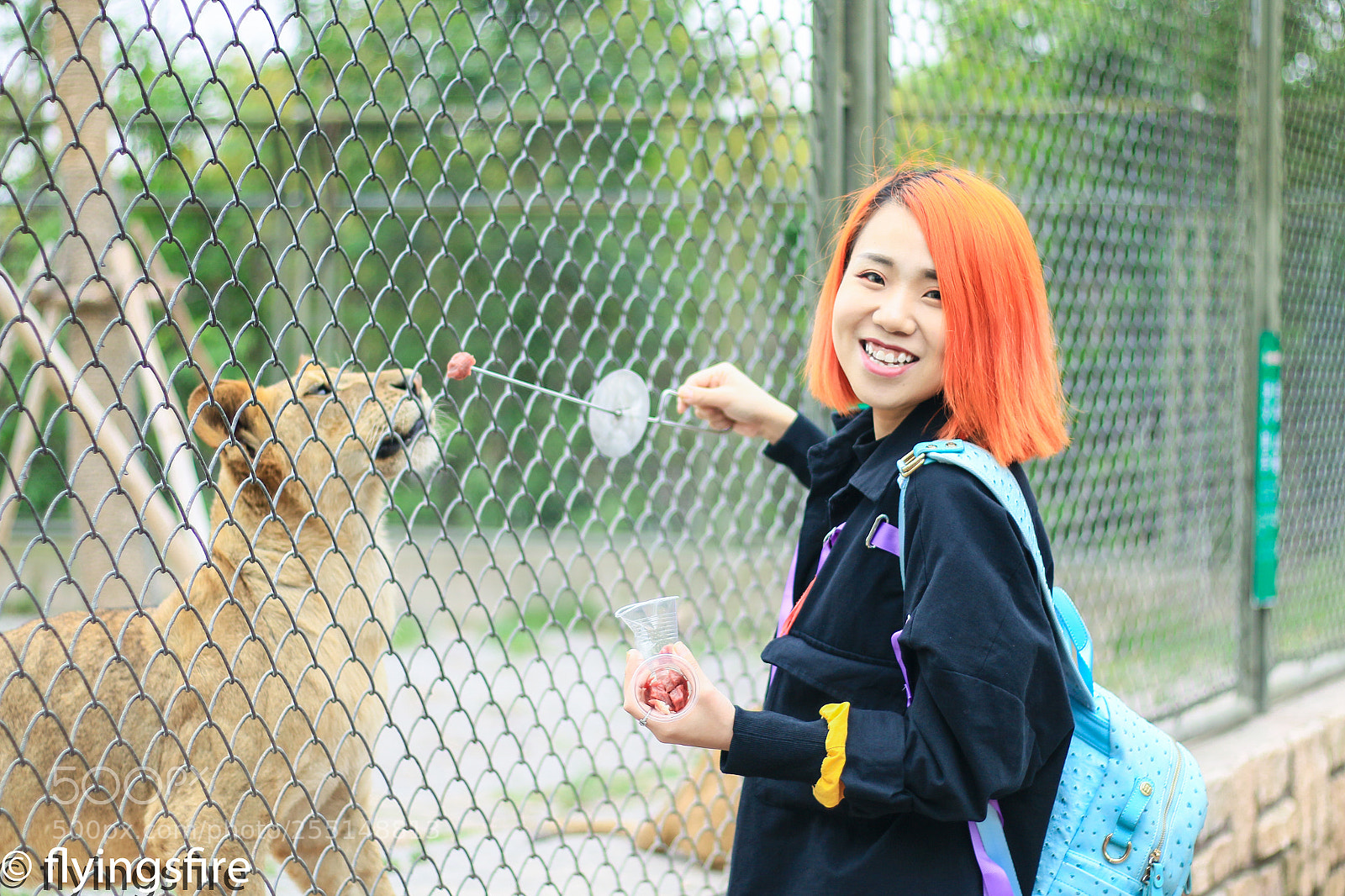 Canon EOS 70D sample photo. 上海动物园成片 photography