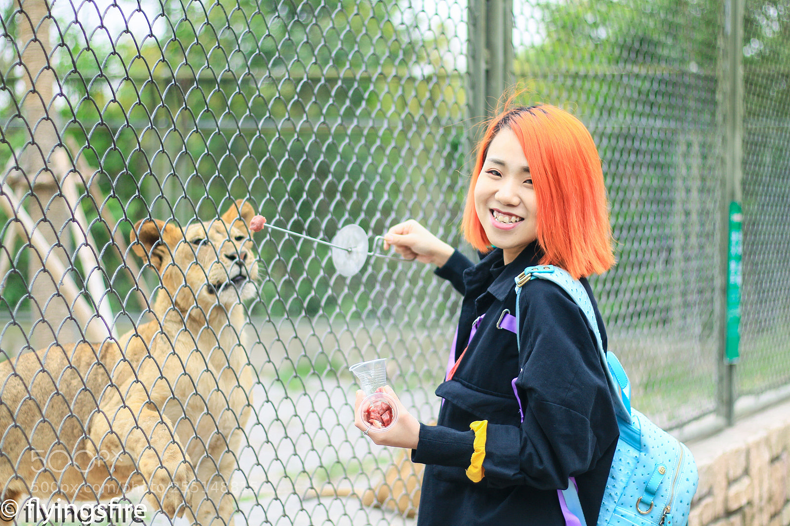 Canon EOS 70D sample photo. 上海动物园成片 photography