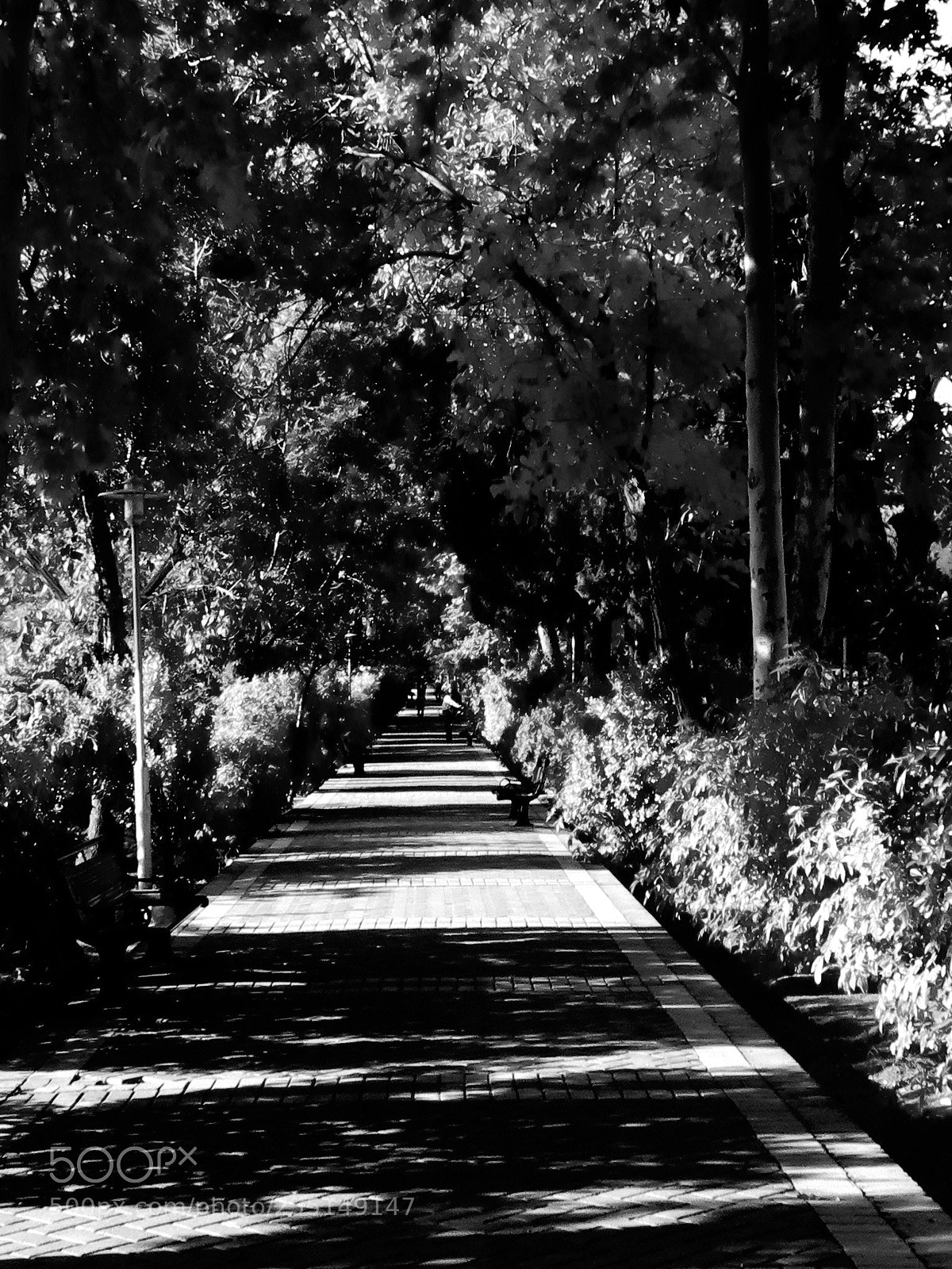 Canon PowerShot SX720 HS sample photo. Untitled photography